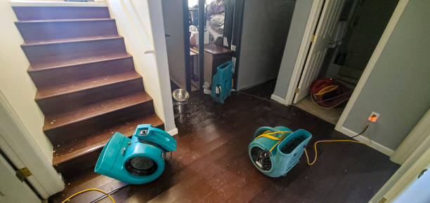 Best Flood restoration services  in Prospect Rk, PA