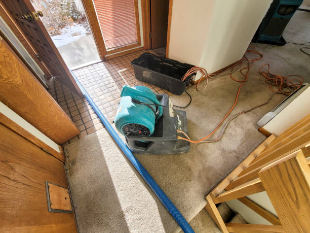 Best Residential water damage restoration  in Prospect Rk, PA