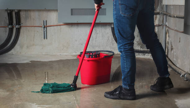  Prospect Rk, PA Water damage restoration Pros