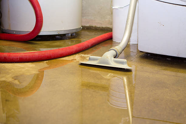 Best Carpet water damage restoration  in Prospect Rk, PA