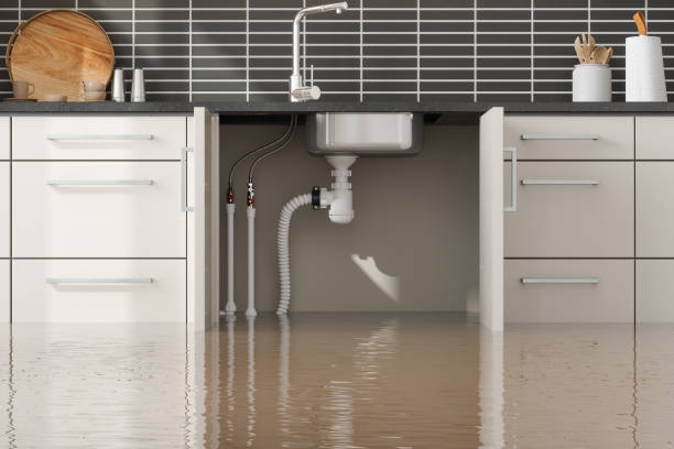 Best Local water damage restoration  in Prospect Rk, PA