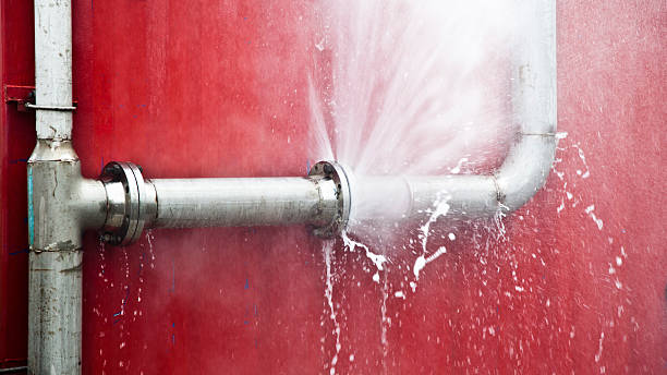 Best Commercial water damage restoration  in Prospect Rk, PA